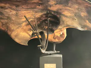 Rien Goené - Vlinder van hout en ijzer kopen? Bied vanaf 1100!