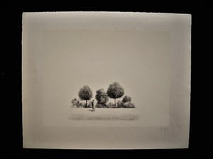 Metten Koornstra - meester van de verstilling - Litho Man in landschap - gesigneerd - jaren 60 kopen? Bied vanaf 10!