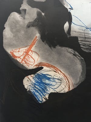Ger Lataster - grote kleurenets uit 1989 - oplage X kopen? Bied vanaf 95!
