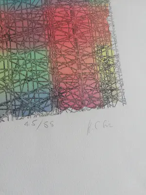 Niet of onleesbaar gesigneerd - HC Liz (?) zpeciale leuke zeefdruk kopen? Bied vanaf 1!