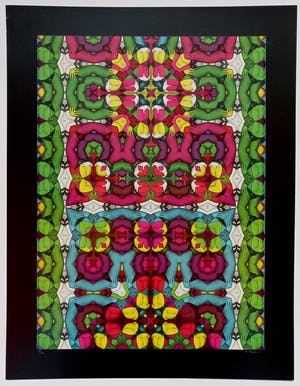 Shinkichi Tajiri - My secret garden met zwarte rand, gesigneerde offset kopen? Bied vanaf 75!