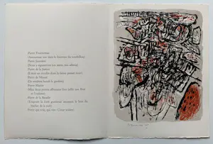 Corneille - Complete portfolio met 8 kleurenlitho's | 'Jardin Errant' | 1963 kopen? Bied vanaf 3600!