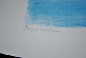 Evert Thielen - gesigneerde zeefdruk + gesigneerd boek + blad met interview kopen? Bied vanaf 90!