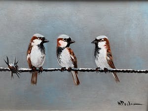 Henk Poeder - Mussen op prikkeldraad kopen? Bied vanaf 89!