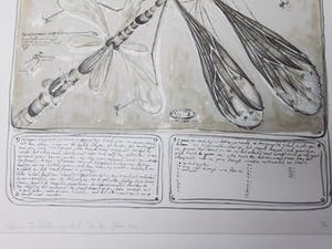 Rene Glaser - Zinklitho - de Koppel libel met zijn staart-propeller kopen? Bied vanaf 15!