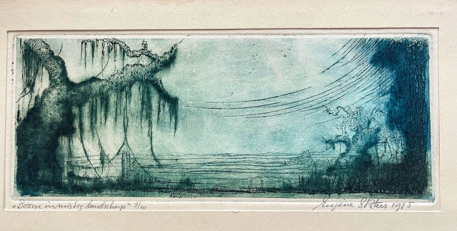 Eugene Peters - Boom in mistig landschap kopen? Bied vanaf 25!