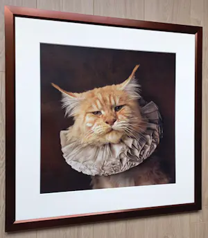 Marie Cecile Thijs - White Collar Cat III, lambdaprint (prachtig ingelijst) kopen? Bied vanaf 1500!