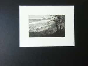 Reinder Homan - RIVIERLANDSCHAP verkocht voor € 50!