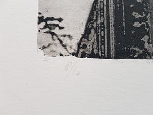 Jan Prins - Prachtige Ets - Gesigneerd in potlood kopen? Bied vanaf 40!