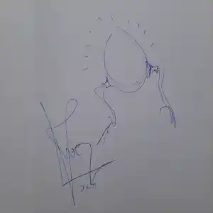Koen Vanmechelen - Signature vendu pour 340€ !