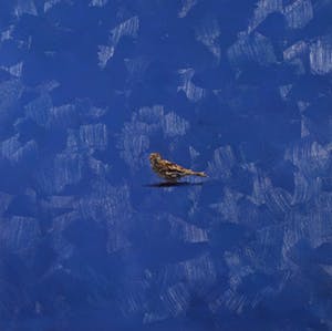 Gerard Prent - Olieverf op doek, Mus kopen? Bied vanaf 800!