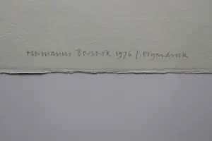 Herman Berserik - Monochrome 1976 "Ets "vrouwelijk naakt en pierrot" - uniek eigen druk exemplaar kopen? Bied vanaf 36!