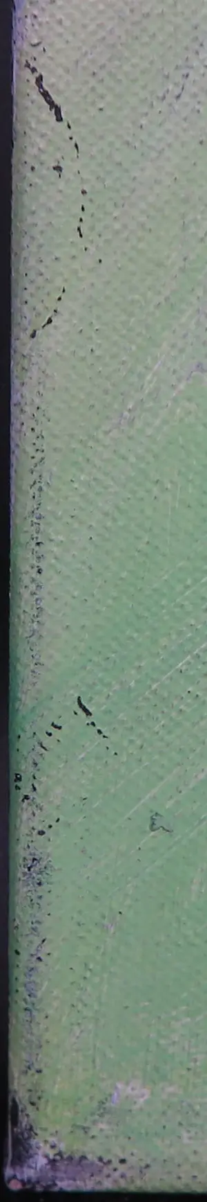 Cobi Nieuwstad - Acryl op doek, Tuinserie kopen? Bied vanaf 60!