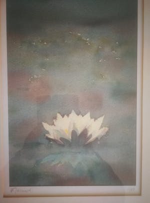 Hans Geernaert - Waterlelie. kopen? Bied vanaf 39!
