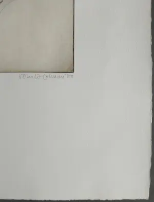 Ronald Tolman - gesigneerde ets kopen? Bied vanaf 69!