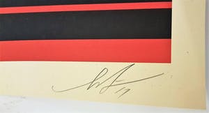 Shepard Fairey - Green Power kopen? Bied vanaf 25!