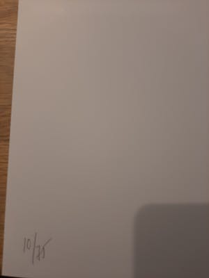 Koen Vanmechelen - Fighter - grote lambda print - handgesigneerd kopen? Bied vanaf 799!