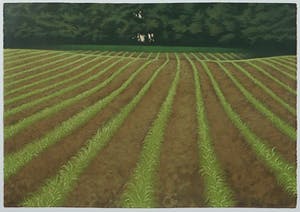 Jean Paul Vroom - Zeefdruk, Mais- Ingelijst (Groot) kopen? Bied vanaf 1!