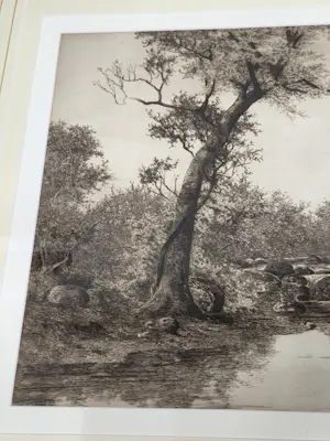 Ernest C. Rost - Waterval kopen? Bied vanaf 30!