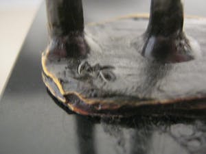 Hans Kuyper - Hans Kuyper - sculptuur "Botanica (1) - gesigneerd kopen? Bied vanaf 50!