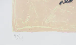 Robbert Fortgens - zeefdruk - 1996 - oplage 40/56 kopen? Bied vanaf 60!