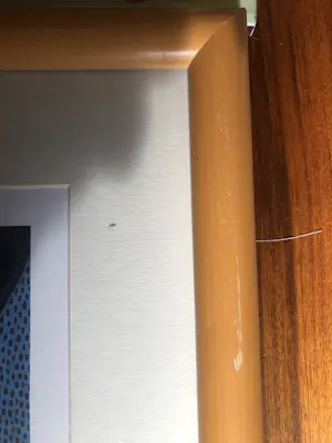 Petra Peschkes - Grafiek Petra Peschkes 1965 -Titel You + Me- Hand gesigneerd . kopen? Bied vanaf 20!