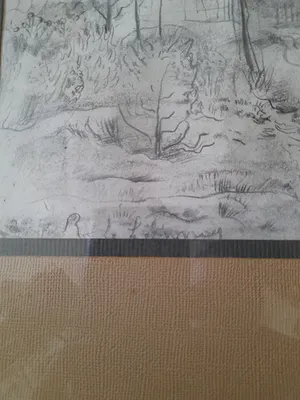 Rene De Lannoy - Bos landschap kopen? Bied vanaf 75!