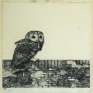 Charles Donker - Ingelijste ets , Bosuil op een muurtje – ca. 1969 verkocht voor € 200!