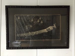 Henri Verstijnen - "Pauw" - Houtsnede, Ingelijst kopen? Bied vanaf 80!