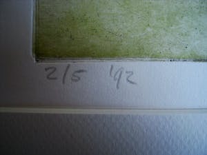 Niet of onleesbaar gesigneerd - In zeer kleine oplage vervaardigde Droge Naald Ets "Vlier" gesigneerd kopen? Bied vanaf 10!