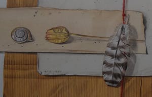 Ria Tensen-Kooy - Aquarel - Vier veertjes, droogbloem, schelp - Ingelijst kopen? Bied vanaf 70!