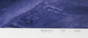 Mark Verdoes - Giclée, Visjes - Ingelijst (Groot) kopen? Bied vanaf 1!