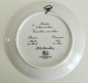 Hutschenreuther - Wandbord Porselein, Kievit door Ole Winther kopen? Bied vanaf 19!