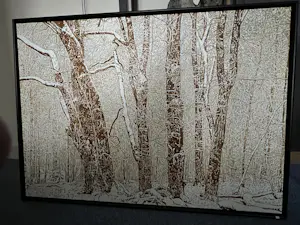 Ger Daniels - Sneeuw in het bos kaufen? Bieten Sie von 200!