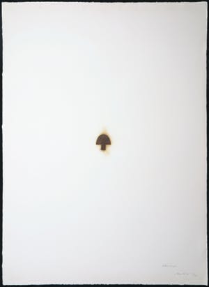 Jan van Munster - Pyrografie, Nuclear Engery kopen? Bied vanaf 50!