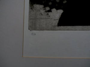 Jan Mentlik - ets: Johan Sebastiaan Bach - 1989 kopen? Bied vanaf 45!