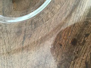 Corry Ammerlaan - Glazen schaal met zilverkleurige plaquette kopen? Bied vanaf 1!