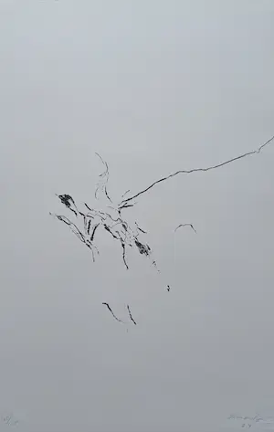 Armando - gesigneerde litho kaufen? Bieten Sie von 145!