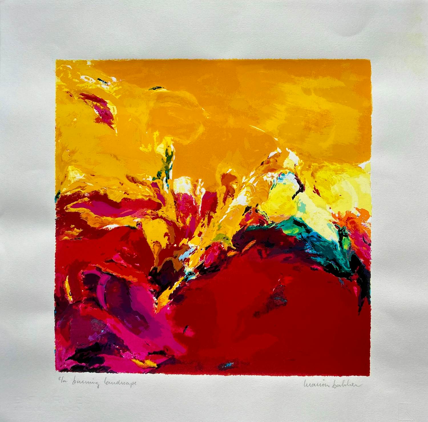 Marion Bakker - Burning landscape kopen? Bied vanaf 30!