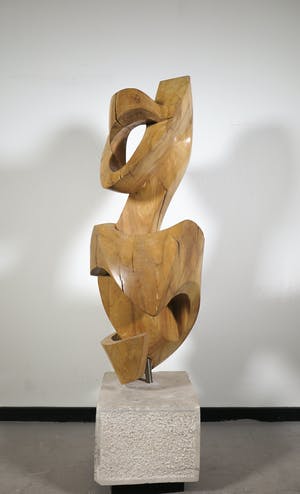 Niet of onleesbaar gesigneerd - Groot organisch gevormd houten sculptuur (Zwaar!) kopen? Bied vanaf 1!