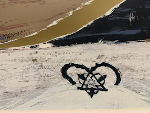 Bert Vredegoor - Troostrijk kopen? Bied vanaf 35!