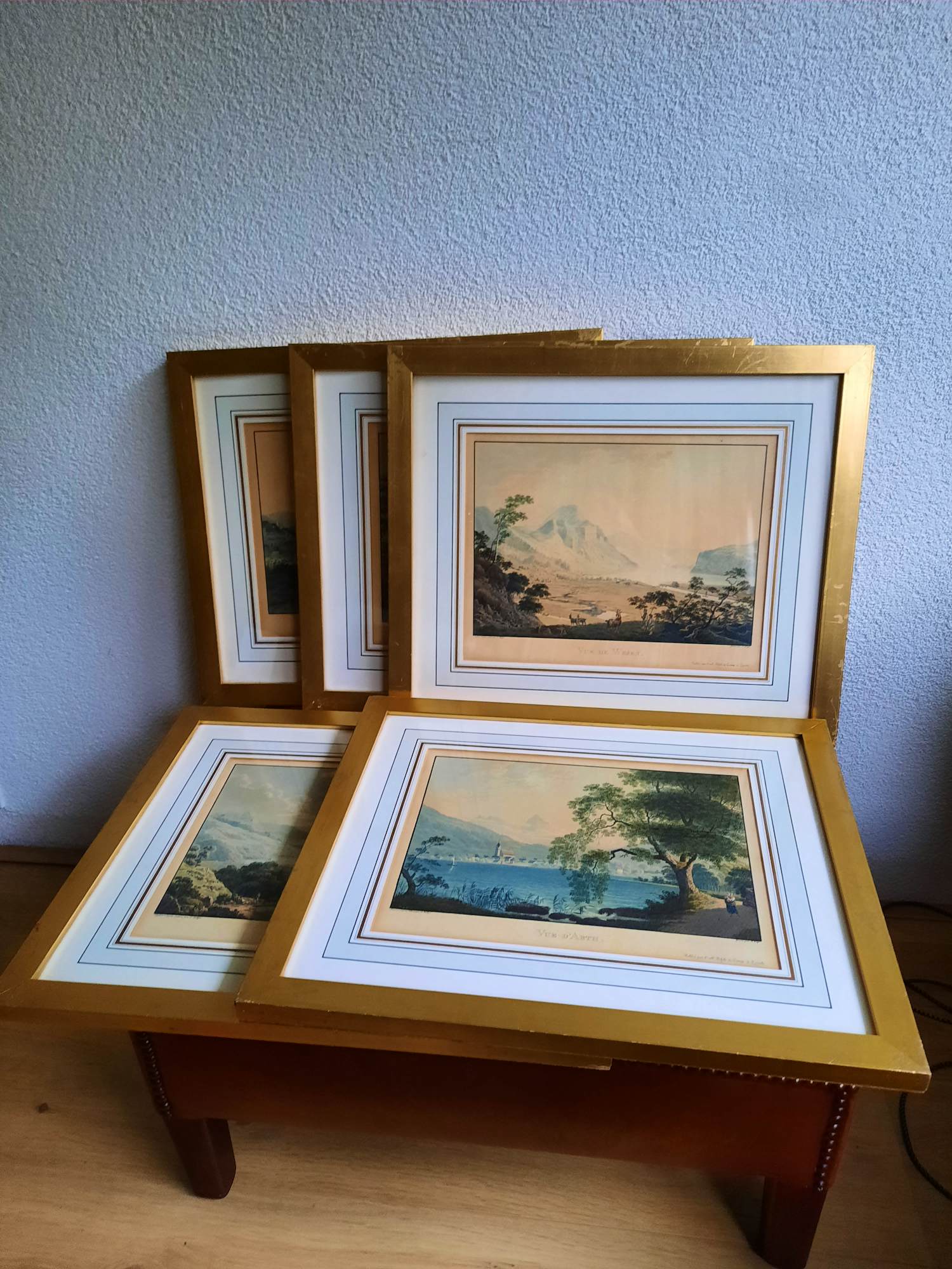 Franz Hegi - lot van 5 ingelijste gravures kopen? Bied vanaf 175!