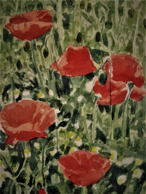 Ger van Dijck - Galerie Mia Joosten - GROOT! gesigneerde Gouache "Voorjaarsweide met Klaprozen" kopen? Bied vanaf 10!