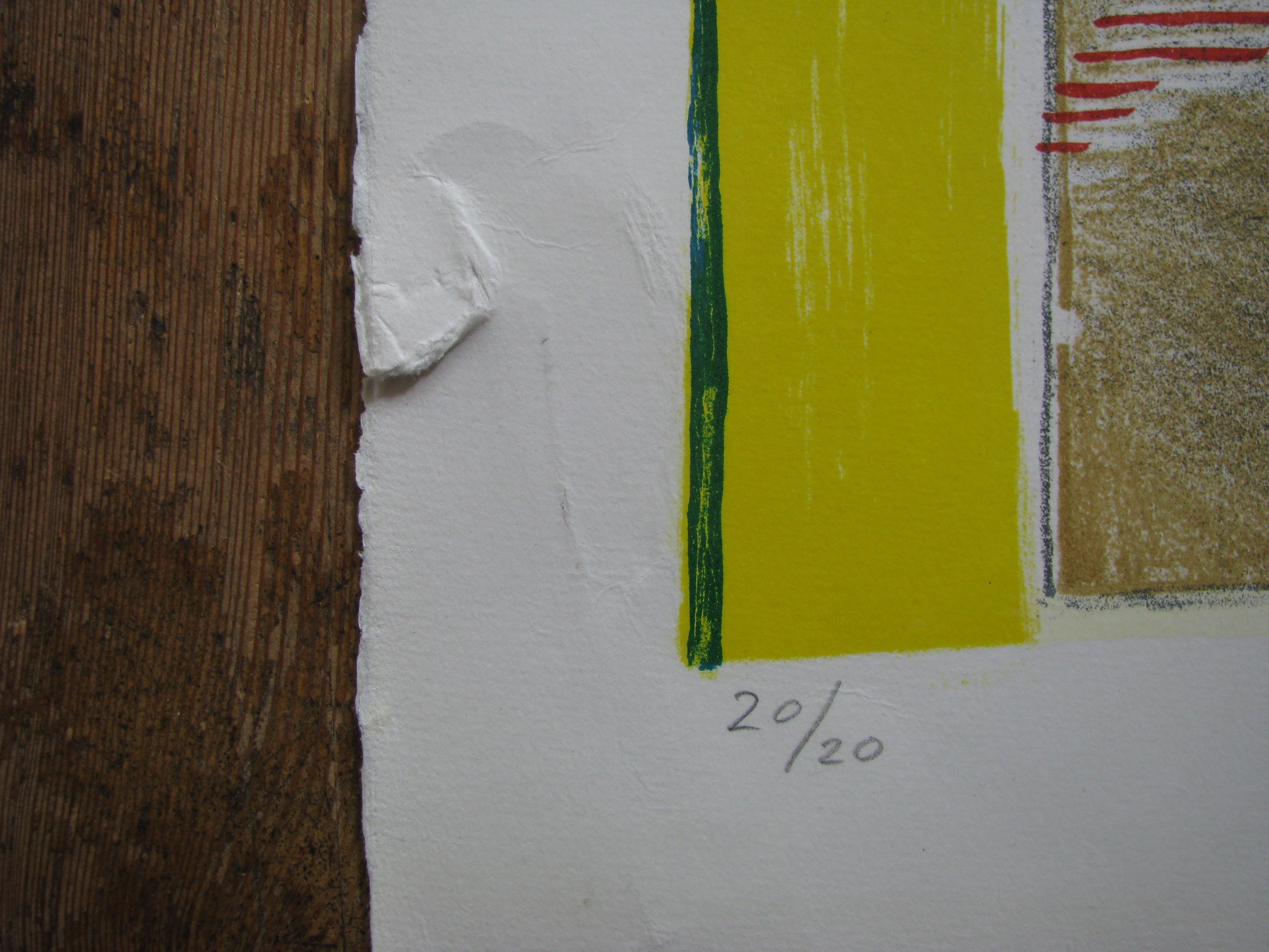 Pim Trooster - 2 kleurenlitho's kopen? Bied vanaf 65!