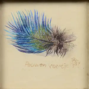 Anna Borst Pauwels - pauwenveertje kopen? Bied vanaf 40!