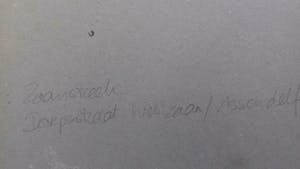 Leo Poelmeijer - Litho. "Dorpstraat te Westzaan/Assendelft. kopen? Bied vanaf 25!