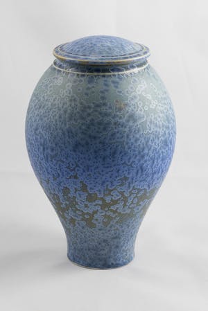 Hein Severijns - Porseleinen dekselpot kopen? Bied vanaf 145!