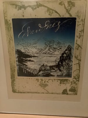 Pieter Alewijns - Edvard Krieg kopen? Bied vanaf 25!