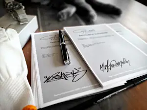 Parscha Mirghawameddin - Surfing kopen? Bied vanaf 75!