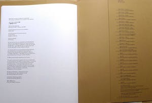 Inez van Lamsweerde - 'Photographs' kopen? Bied vanaf 25!